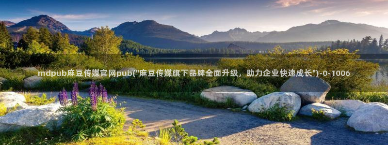 麻豆入口高清：mdpub麻豆传媒官网pub(\