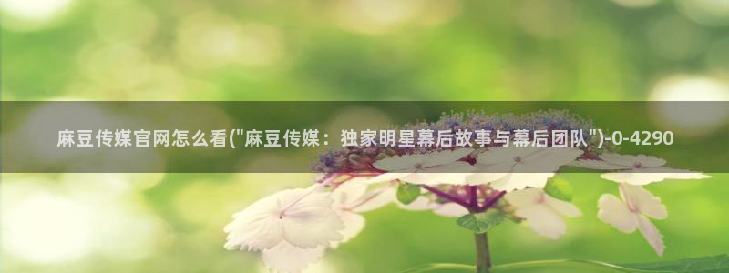 麻豆视频 系列最新：麻豆传媒官网怎么看(\