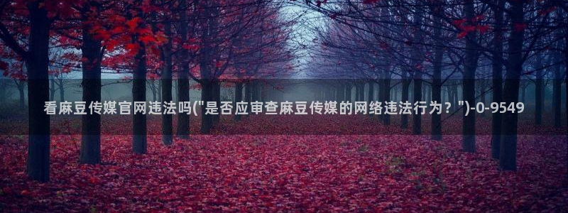 麻豆视频 页面：看麻豆传媒官网违法吗(\