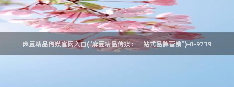 麻豆完整版下载：麻豆精品传媒官网入口(\