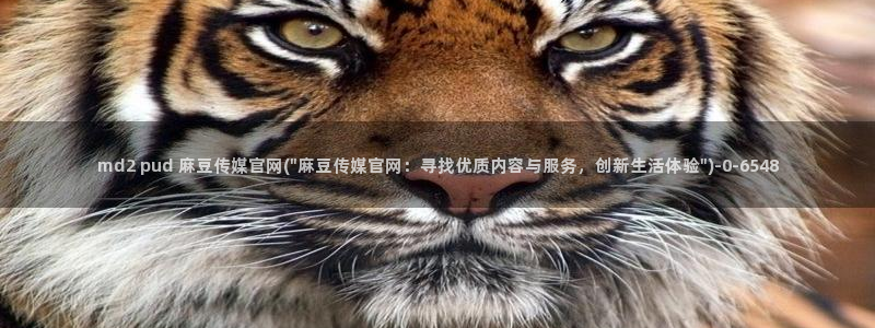 麻豆视频精选最新：md2 pud 麻豆传媒官网(