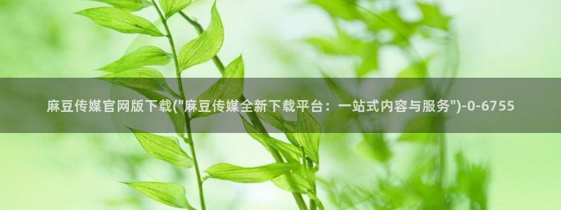麻豆视频官方高清：麻豆传媒官网版下载(\
