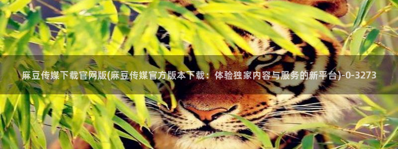 麻豆视频合集更新：麻豆传媒下载官网版(麻豆传媒官方版
