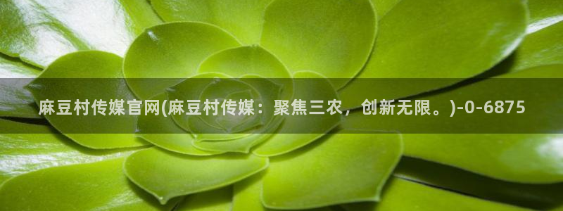麻豆视频 高清入口：麻豆村传媒官网(麻豆村传媒：