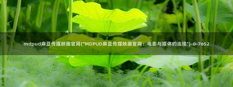 麻豆视频 更新整理：mdpud麻豆传媒映画官网(