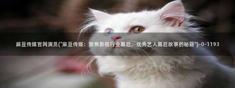 麻豆 下载下载：麻豆传媒官网演员(\