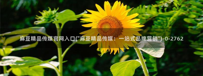 麻豆在线看最新：麻豆精品传媒官网入口(\
