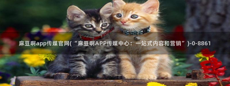 麻豆 合集专区：麻豆啊app传媒官网(“麻豆啊APP传媒