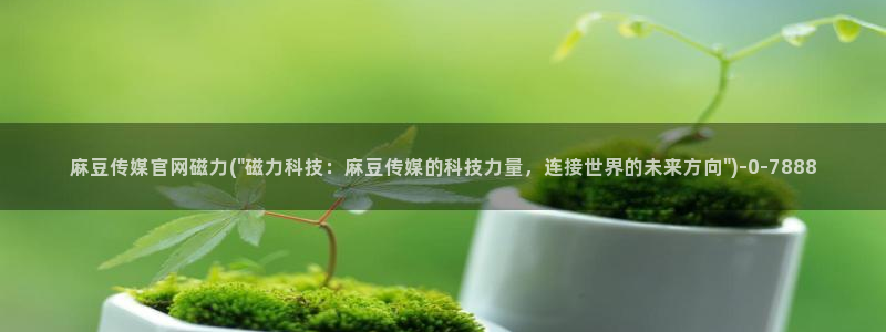 麻豆视频站推荐：麻豆传媒官网磁力(\