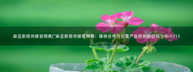 麻豆在线看页面：麻豆影视传媒官网黄(\