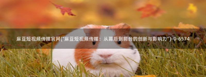 麻豆视频 站更新：麻豆短视频传媒官网(\