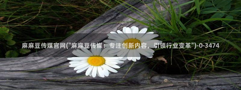 麻豆视频最新页面：麻麻豆传媒官网(\
