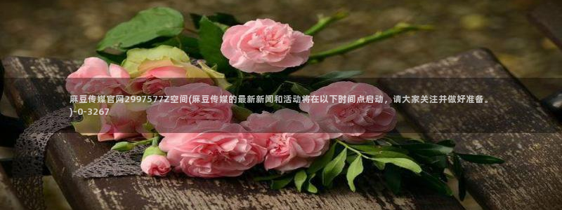 麻豆 专区：麻豆传媒官网2997577Z空间(麻豆传媒的