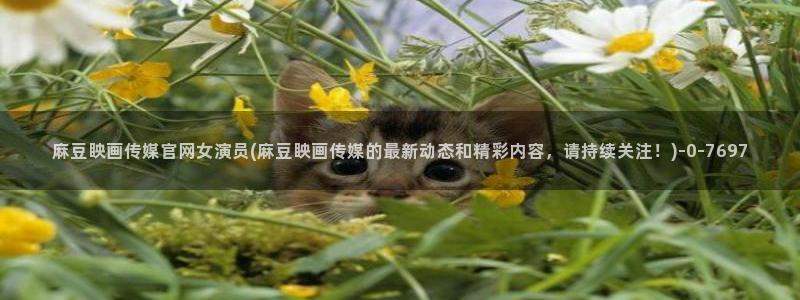 麻豆视频 专区下载：麻豆眏画传媒官网女演员(麻豆眏画传媒的最新动态和精彩内容，请持续关注！)