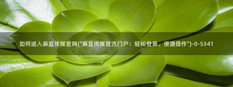 麻豆视频最新：如何进入麻豆传媒官网(\
