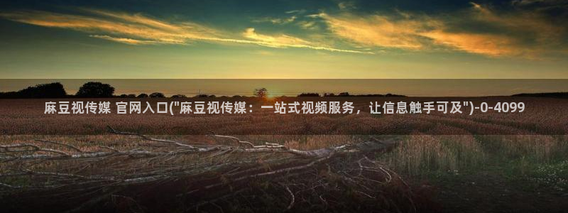 麻豆下载推荐：麻豆视传媒 官网入口(\