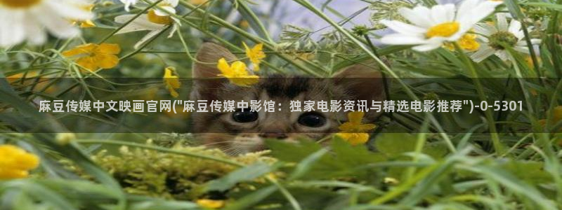 麻豆视频完整版视频：麻豆传媒中文映画官网(\