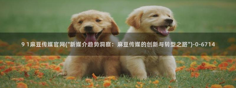 麻豆热门资源：9 1麻豆传媒官网(\