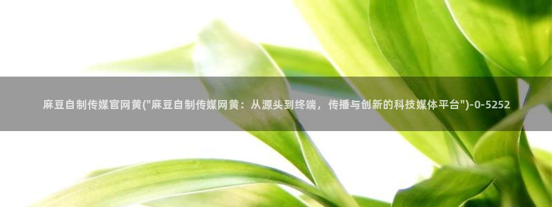 麻豆视频精选整理：麻豆自制传媒官网黄(\