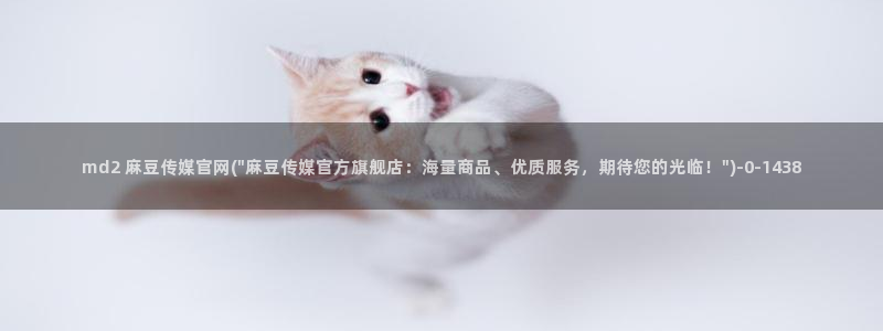 麻豆视频 官方完整版：md2 麻豆传媒官网(\