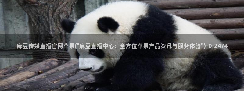 麻豆 完整版资源：麻豆传媒直播官网苹果(\