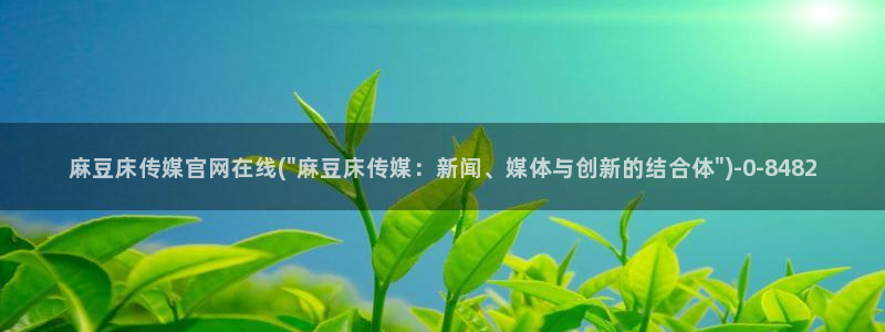 麻豆视频在线看完整版：麻豆床传媒官网在线(\
