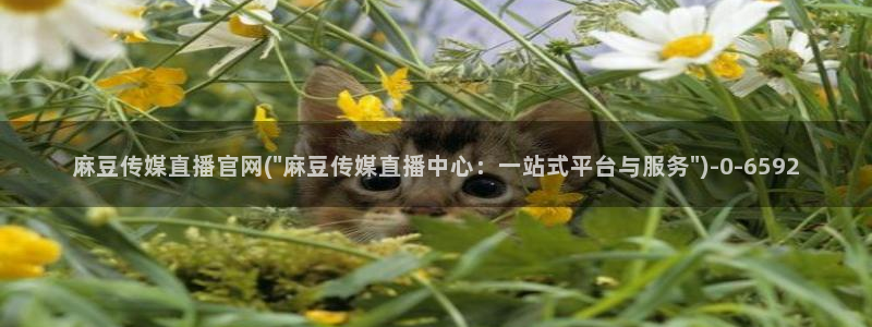 麻豆视频 高清最新：麻豆传媒直播官网(\