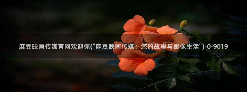 麻豆视频推荐专区
