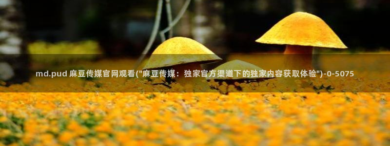 麻豆视频热门在线看