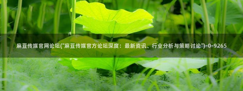 麻豆视频 系列推荐