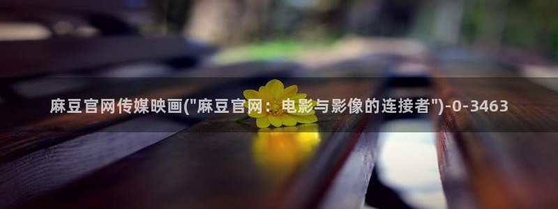 麻豆完整版视频：麻豆官网传媒映画(\