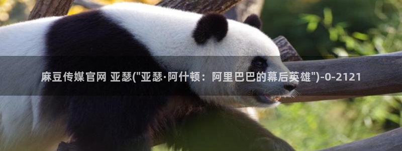 麻豆视频推荐更新：麻豆传媒官网 亚瑟(\